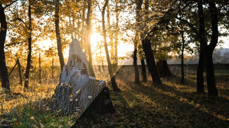 How Do You Edit RAW? Actually, It’s Easy