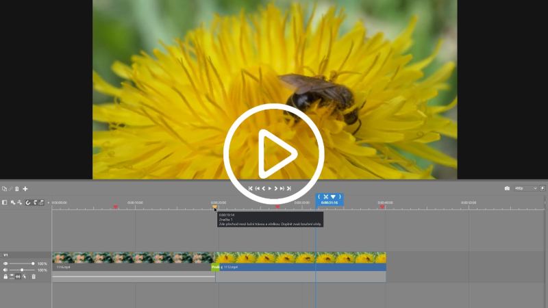 Improve Your Video Projects with Markers