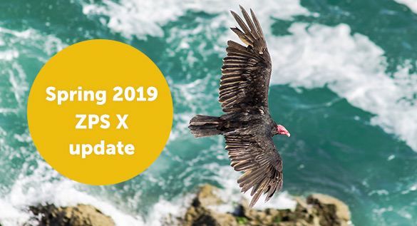 The Spring 2019 ZPS X Update